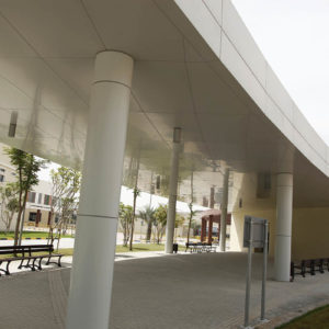 Tariq Bin Zayed School