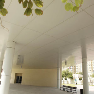 Tariq Bin Zayed School