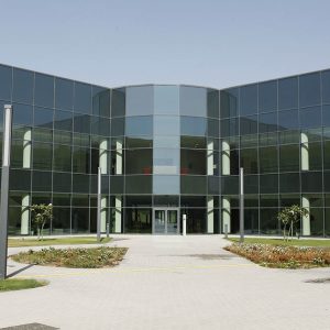 Image of Stick Curtain Wall at Qatar Academy