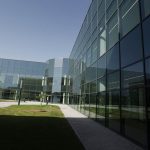 qatar academy_8